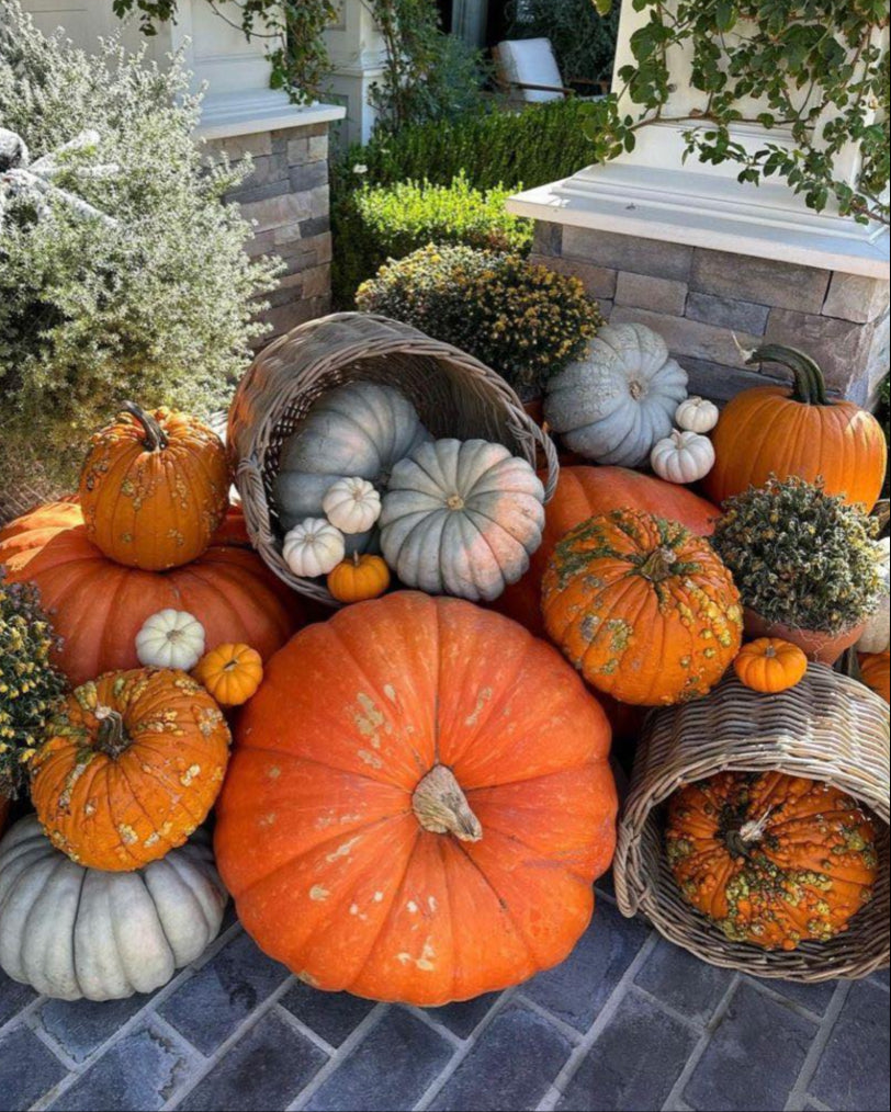 Classic Pumpkin Package