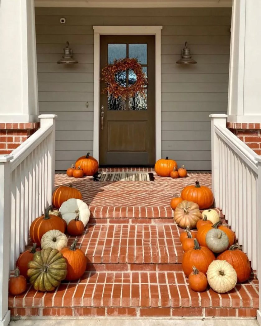 Classic Pumpkin Package