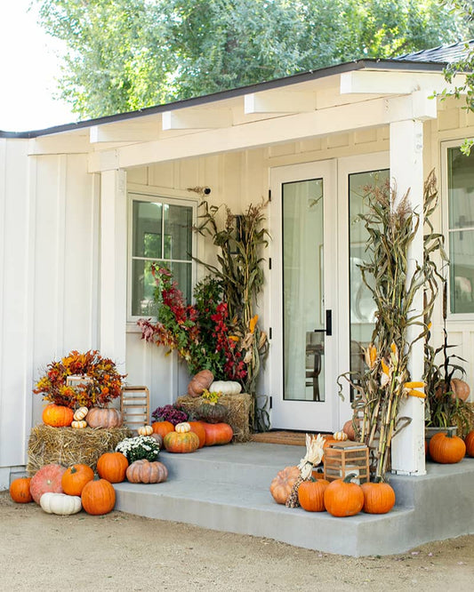 Classic Pumpkin Package