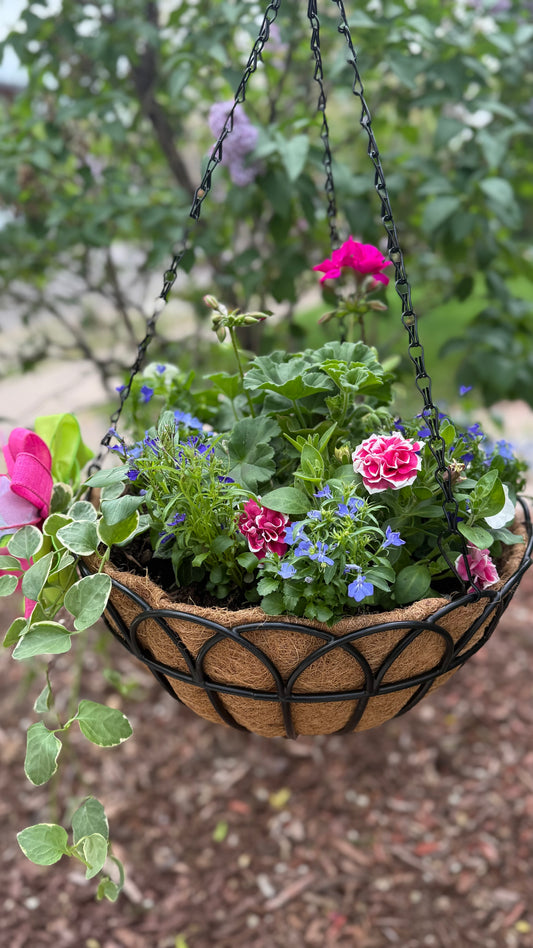 Hanging Basket