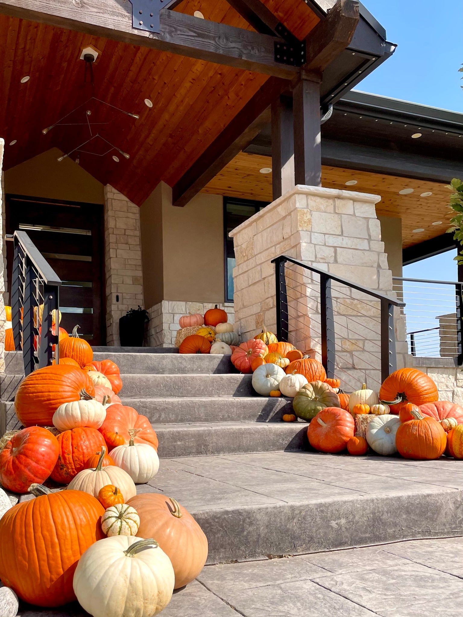 Luxe Pumpkin Package