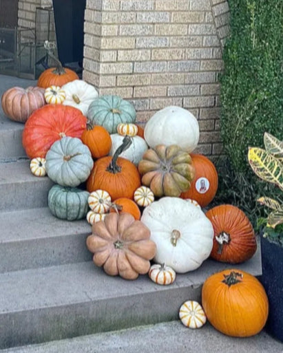 Cozy Pumpkin Package