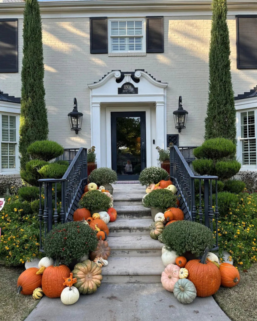 Decorative pumpkins and bushes on steps leading to a house entrance